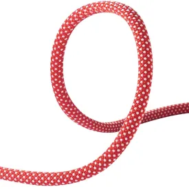 Dynamite 11mm Per Metre