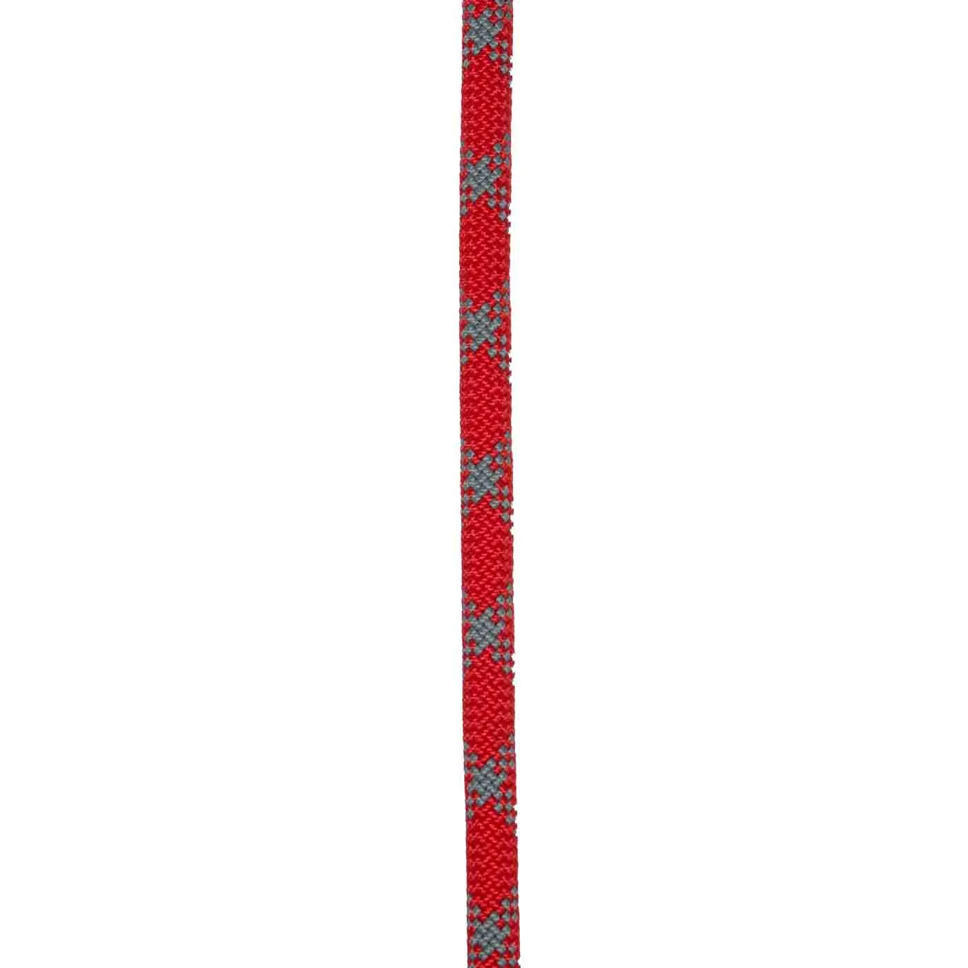 Dynamite 11mm Per Metre