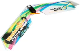 Goolsky E0511 Rainbow Flying Wing V2 RC Airplane 800mm Wingspan Delta Wing Tail-Pusher Aircraft KIT